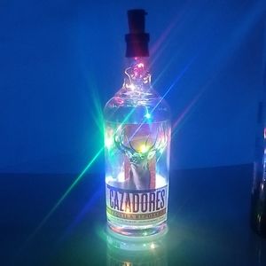 Bottle light (decoration)